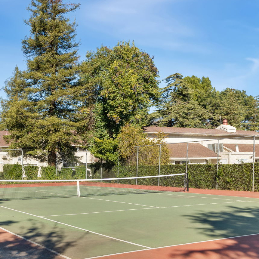 Tennis court